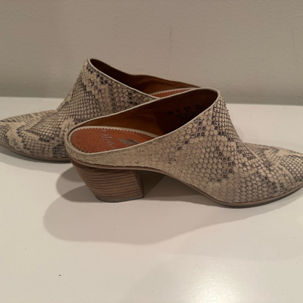 Snakeskin Patterned Women's Mules
